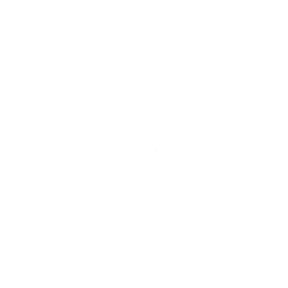 Shopify Partner